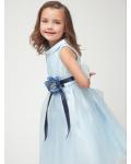Ice Blue Sleeveless Organza Flowergirl Dresses