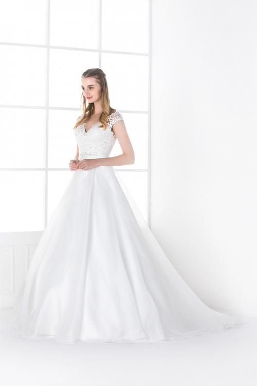  A-line V-neck Lace Long Organza Wedding Dresses