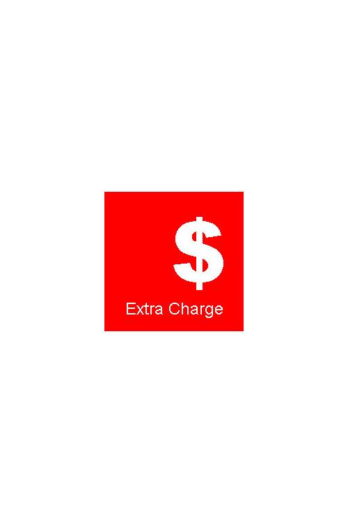 Payment Extra Charge