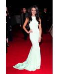 Michelle Keegan Soap Awards 2014 Chic Modern Jewel Neck Sleeveless Sage Long Tight Jersey Prom Dress 
